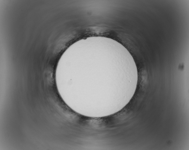 X0000111780615200908131350