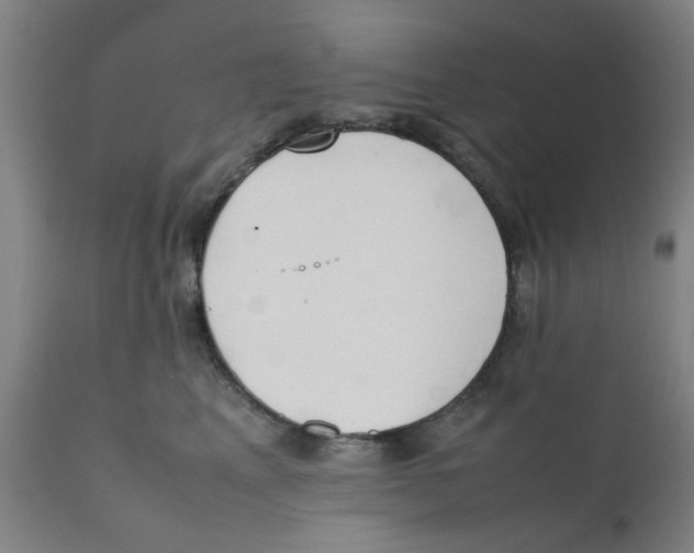 X0000111780617200908131350