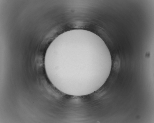 X0000111780620200908131350
