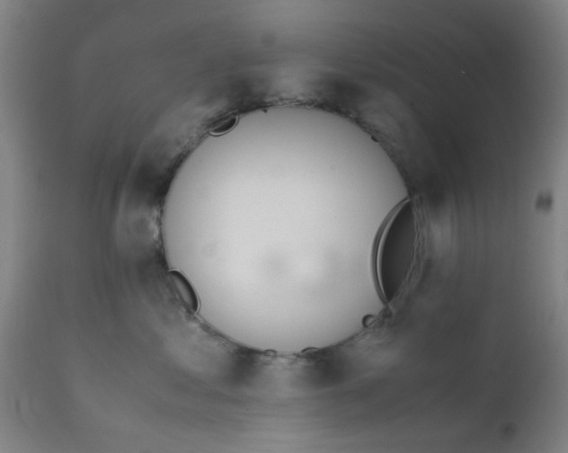 X0000111780621200908131350