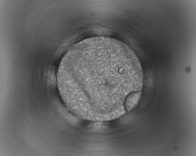 X0000111780622200908131350