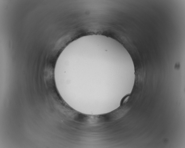 X0000111780623200908131350