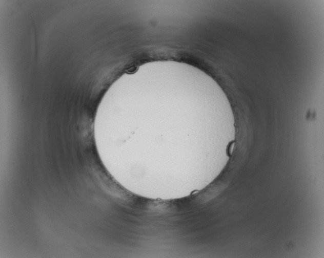 X0000111780624200908131350
