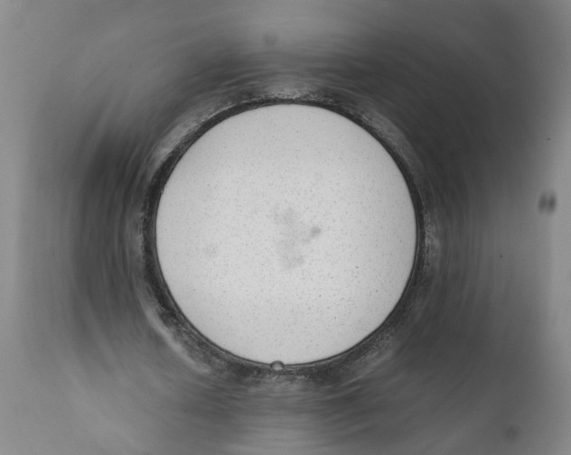 X0000111780626200908131349