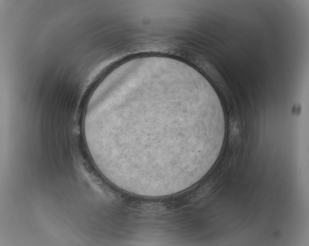 X0000111780628200908131349