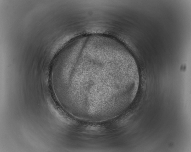 X0000111780631200908131349