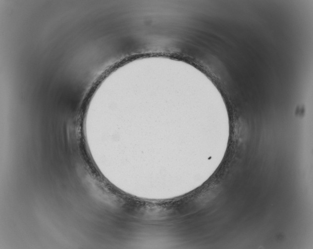 X0000111780632200908131349