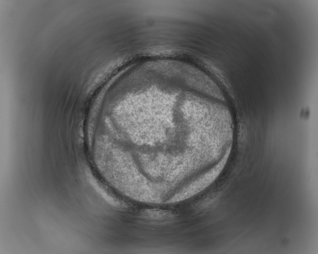 X0000111780633200908131349