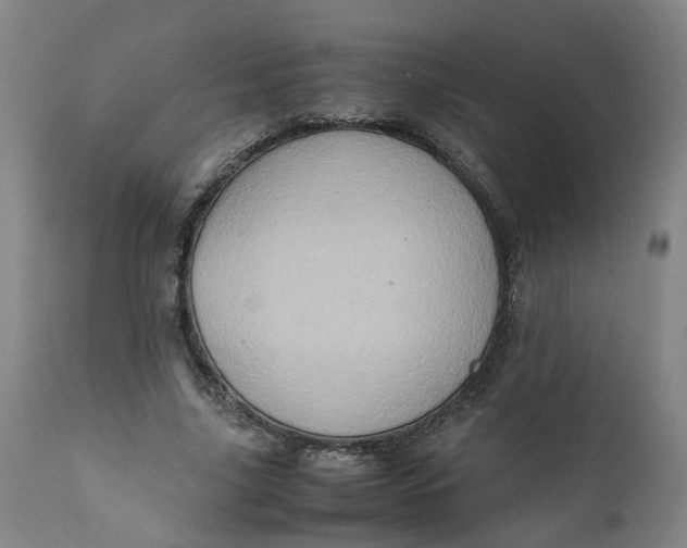 X0000111780635200908131349