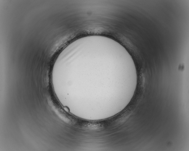 X0000111780638200908131349