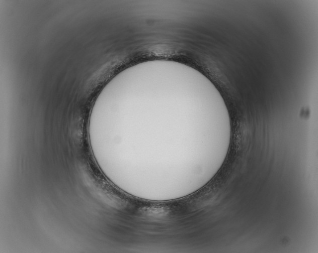 X0000111780639200908131349