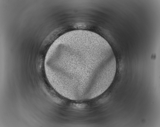 X0000111780645200908131349