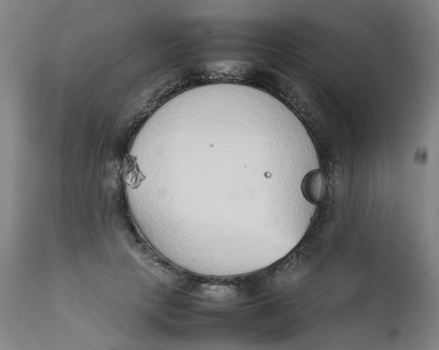 X0000111780649200908131349