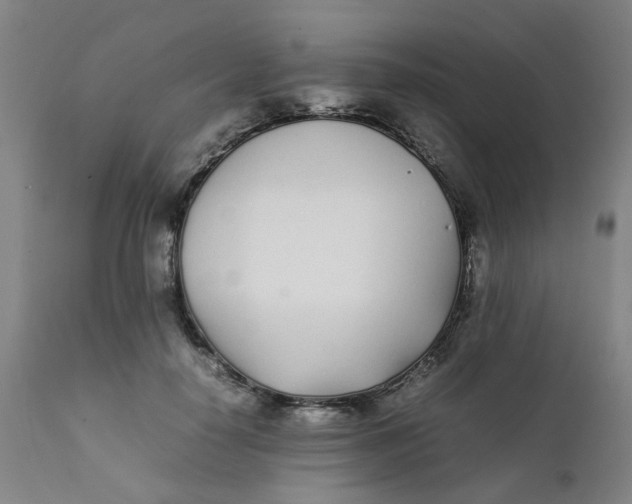 X0000111780650200908131349
