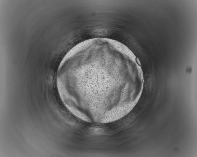 X0000111780655200908131349