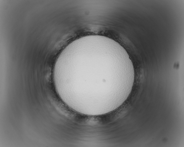 X0000111780656200908131349