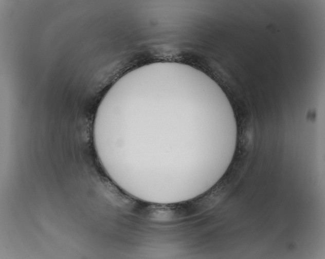 X0000111780658200908131349