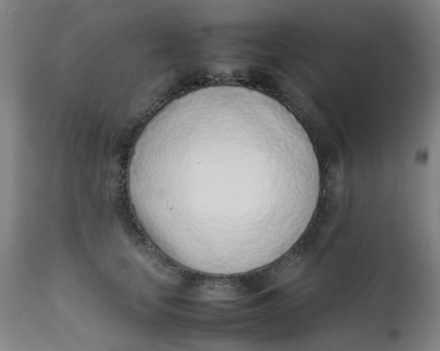 X0000111780659200908131349