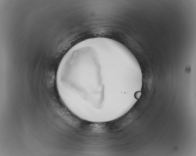 X0000111780660200908131349