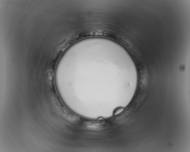 X0000111780661200908131349