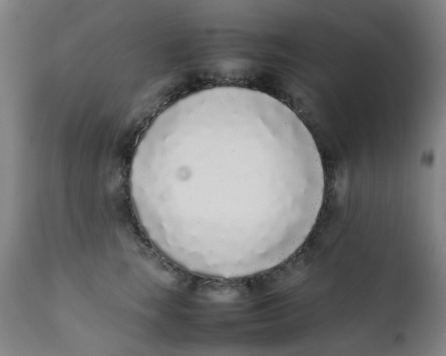 X0000111780663200908131349