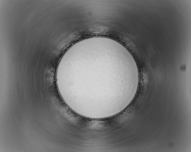 X0000111780664200908131349
