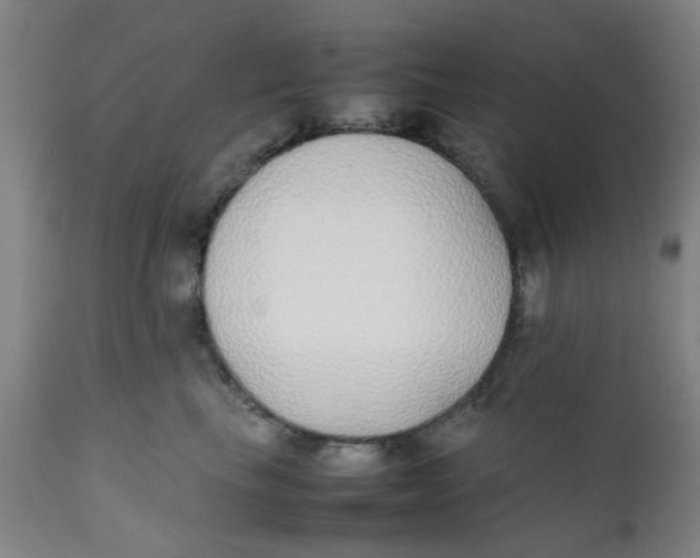 X0000111780665200908131349