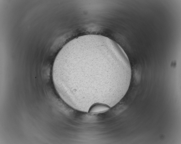X0000111780668200908131350