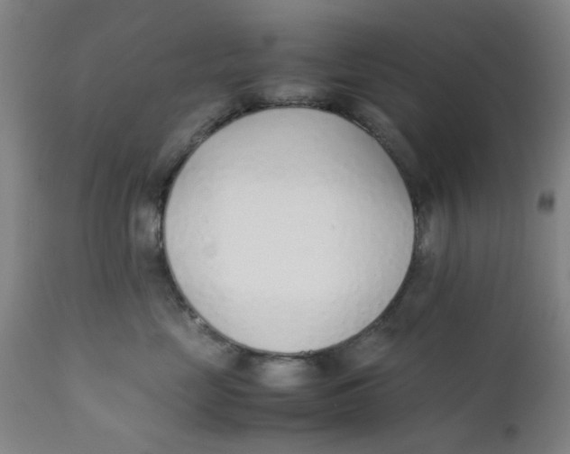 X0000111780669200908131350
