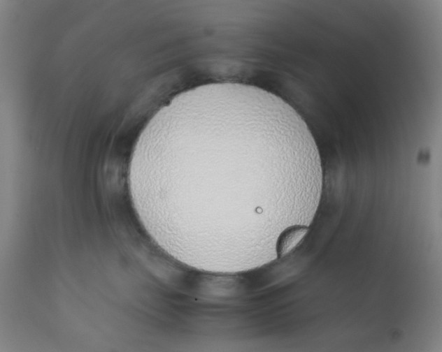 X0000111780671200908131350