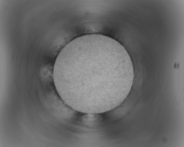 X0000111780672200908131350