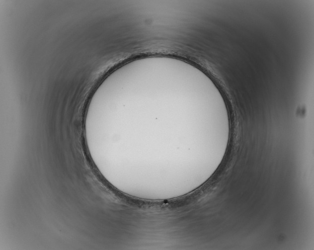 X0000111780673200908131349