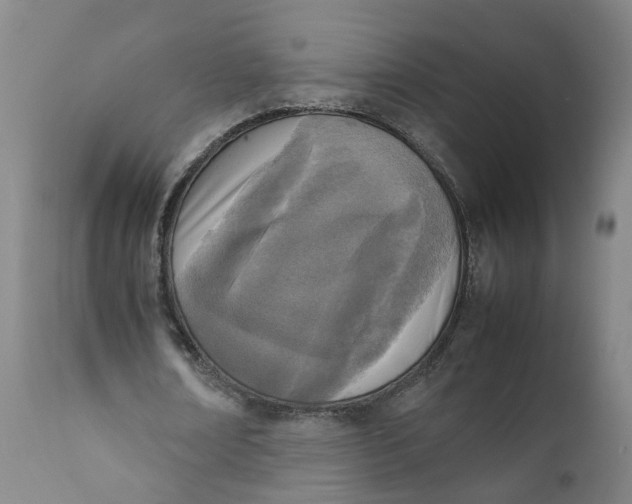 X0000111780674200908131349
