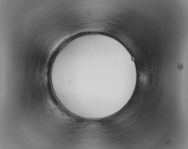 X0000111780676200908131349