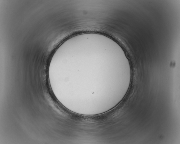 X0000111780677200908131349