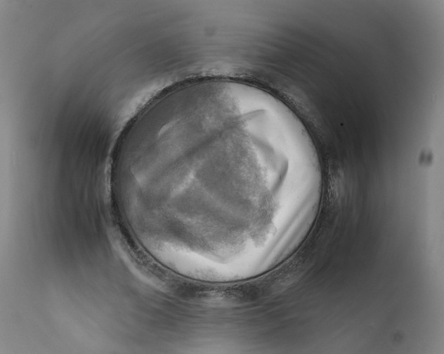 X0000111780678200908131349