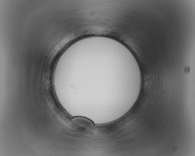 X0000111780679200908131349