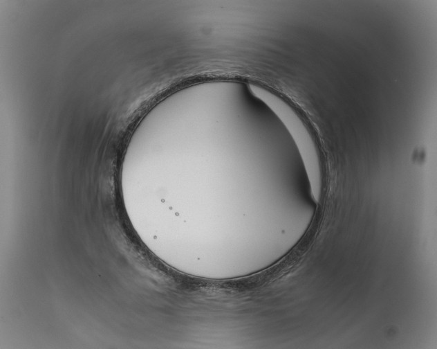 X0000111780681200908131349