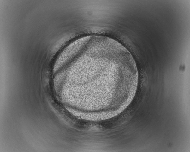 X0000111780683200908131349