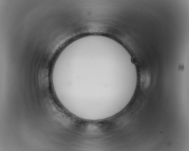 X0000111780684200908131349