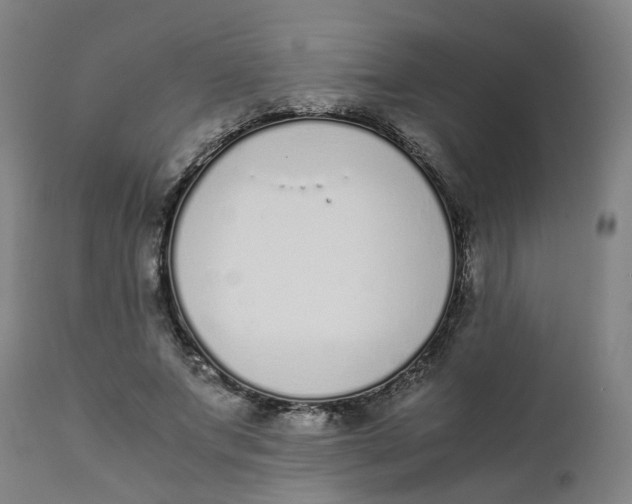 X0000111780687200908131349