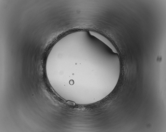 X0000111780688200908131349