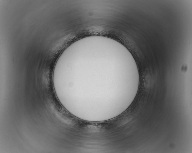 X0000111780690200908131349