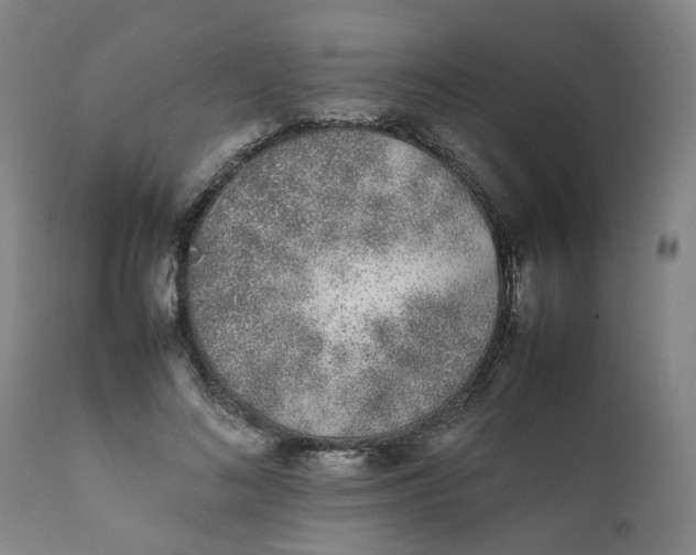 X0000111780692200908131348
