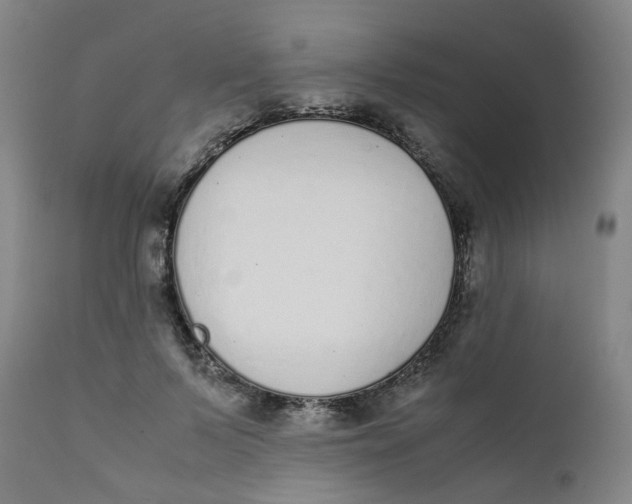X0000111780695200908131348
