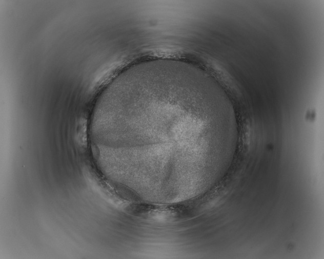 X0000111780696200908131348