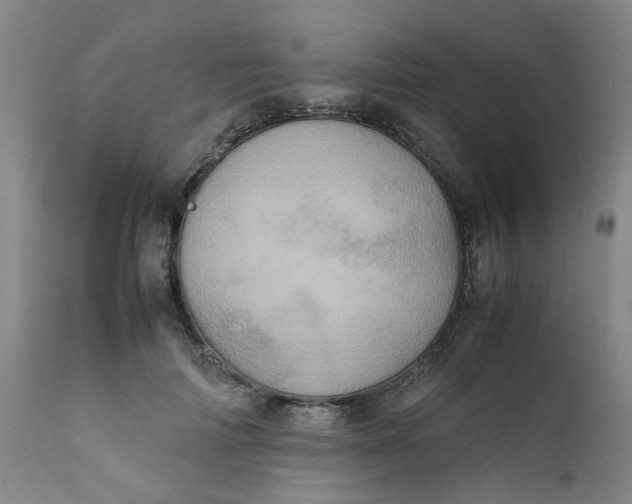X0000111780698200908131348