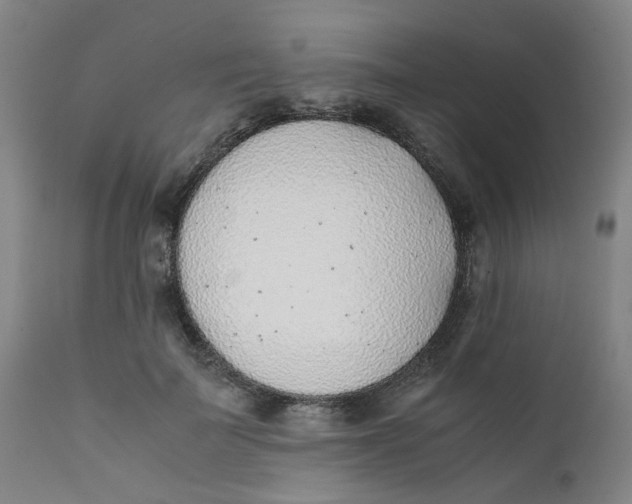 X0000111780699200908131348