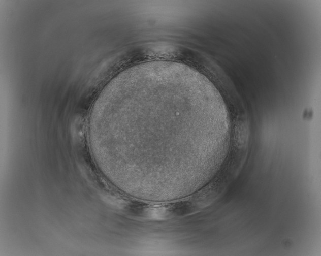 X0000111780701200908131348