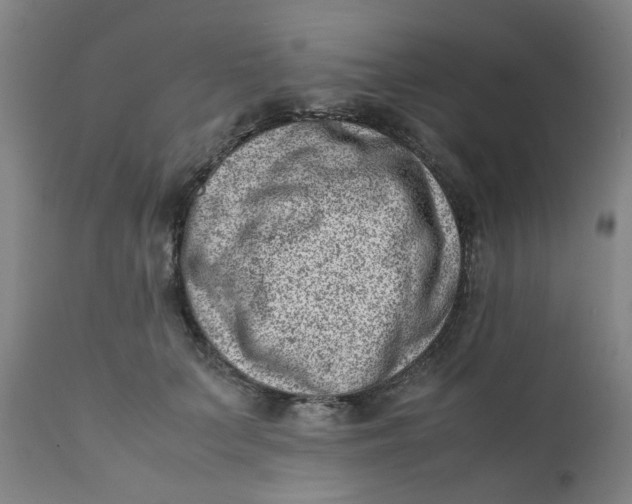 X0000111780703200908131348